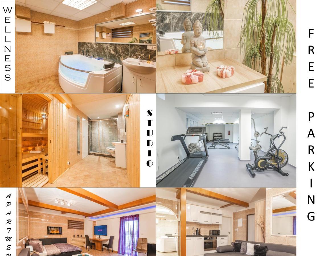 Wellness Studio! Finnish Sauna, Whirlpool, Gym & More! Praag Buitenkant foto